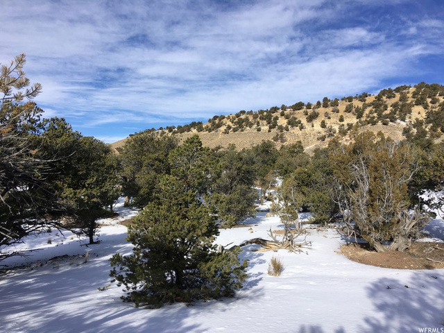 #10, Fruitland, UT 84027 — photo 6