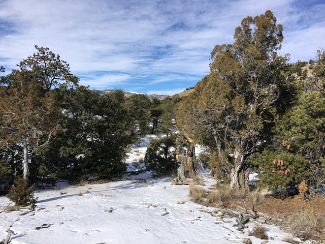 #10, Fruitland, UT 84027 — photo 4
