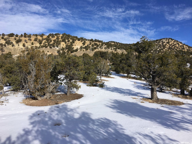 #10, Fruitland, UT 84027 — photo 5