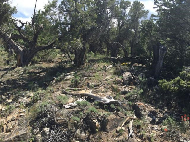 #22B, Fruitland, UT 84027 — photo 3