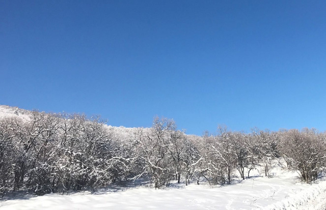 2900 E 4400 N, Liberty, UT 84310 — photo 2