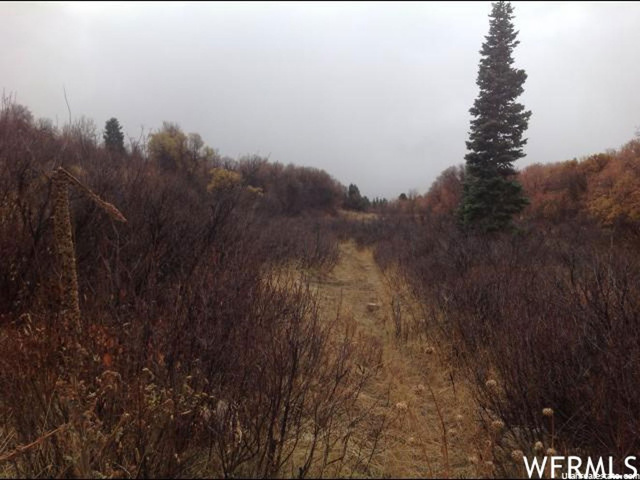 23351 N Snow Loop E #65, Fairview, UT 84629 — photo 2