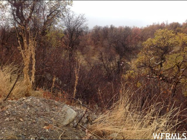 23351 N Snow Loop E #65, Fairview, UT 84629 — photo 3