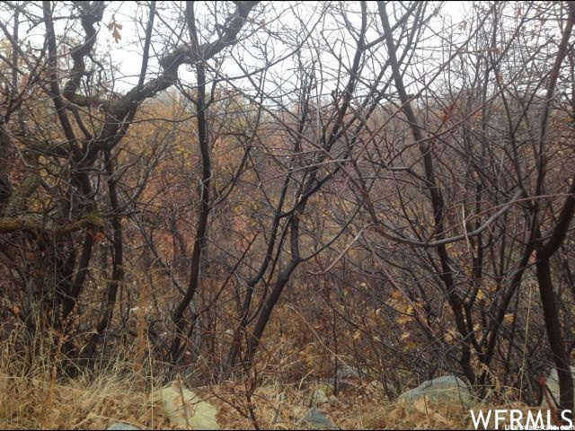 23351 N Snow Loop E #65, Fairview, UT 84629 — photo 5