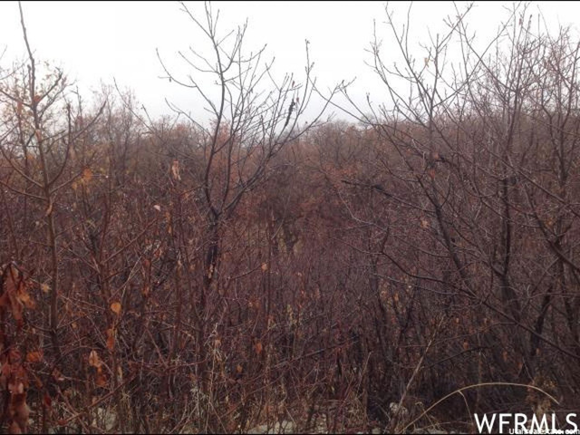23351 N Snow Loop E #65, Fairview, UT 84629 — photo 4