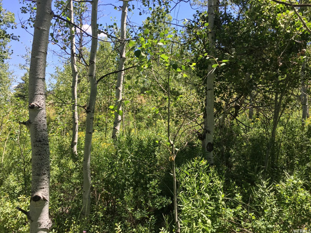 323 Ashley Dr #323, Oakley, UT 84055 — photo 10