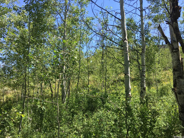 323 Ashley Dr #323, Oakley, UT 84055 — photo 8
