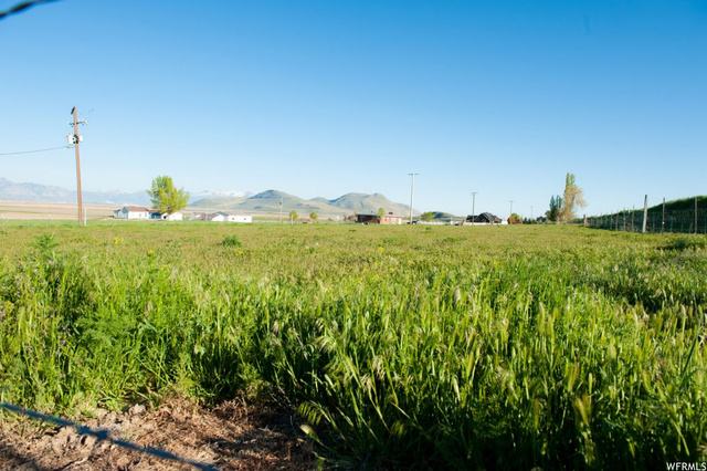 9053 N 11600 W, Thatcher, UT 84337 — photo 8