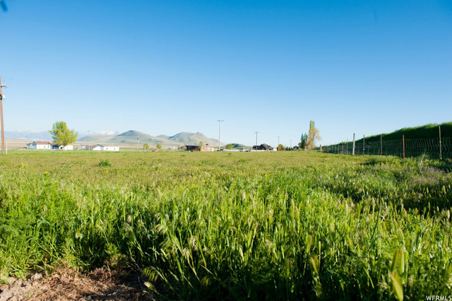 9053 N 11600 W, Thatcher, UT 84337 — photo 9