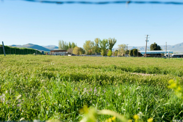 9053 N 11600 W, Thatcher, UT 84337 — photo 5