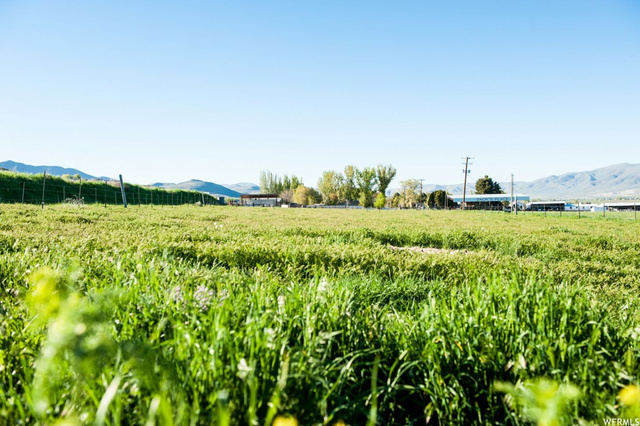 9053 N 11600 W, Thatcher, UT 84337 — photo 2