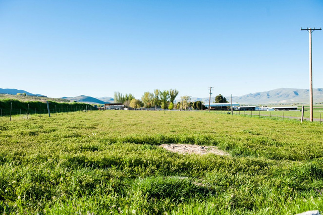 9053 N 11600 W, Thatcher, UT 84337 — photo 4