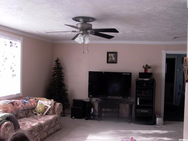345 E 400 N, Fairview, UT 84629 — photo 9