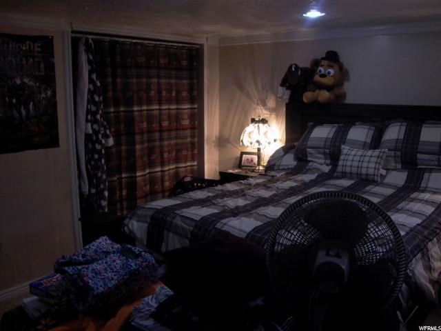 345 E 400 N, Fairview, UT 84629 — photo 12