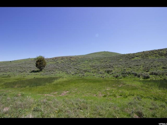 66 Legacy #66, Avon, UT 84328 — photo 12