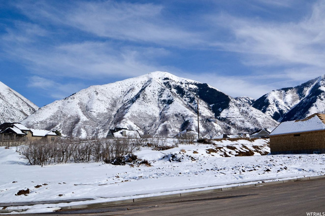 1046 S 850 E #16, Salem, UT 84653 — photo 8