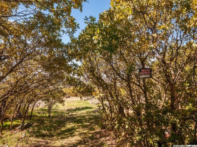5973 S Spring Canyon E #28, Uintah, UT 84403 — photo 2