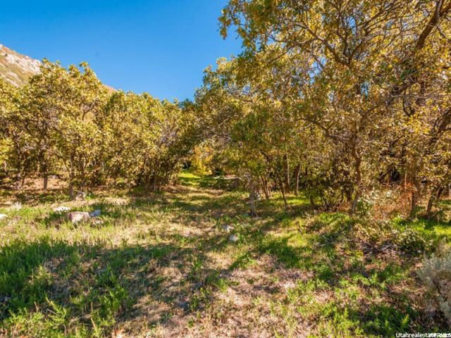 5973 S Spring Canyon E #28, Uintah, UT 84403 — photo 5