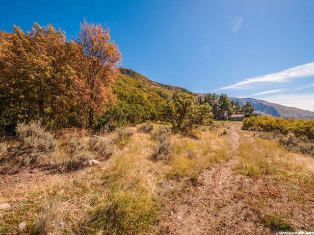 5973 S Spring Canyon E #28, Uintah, UT 84403 — photo 10