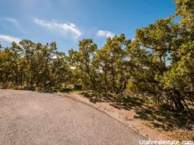 5995 S Spring Canyon E #29, Uintah, UT 84403 — photo 5