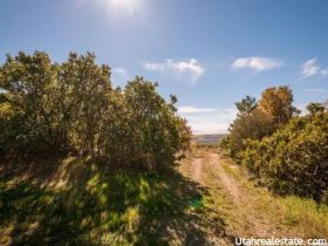 5995 S Spring Canyon E #29, Uintah, UT 84403 — photo 2