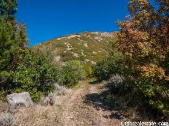5995 S Spring Canyon E #29, Uintah, UT 84403 — photo 8