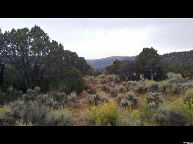 #1, Fruitland, UT 84027 — photo 3