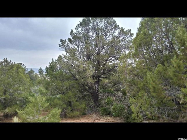 #1, Fruitland, UT 84027 — photo 6