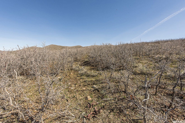 777 E Longview #74, Heber City, UT 84032 — photo 10