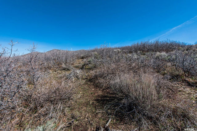 785 Longview #75, Heber City, UT 84032 — photo 2