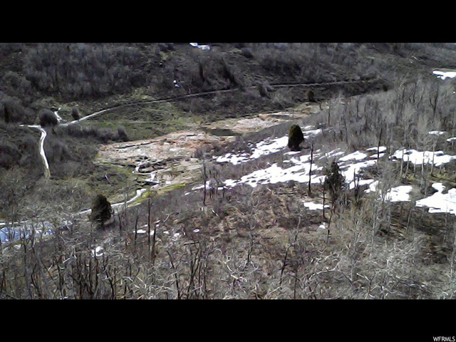 #52, Woodland, UT 84036 — photo 10