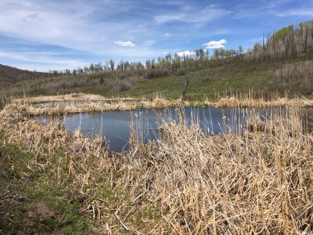 #52, Woodland, UT 84036 — photo 11