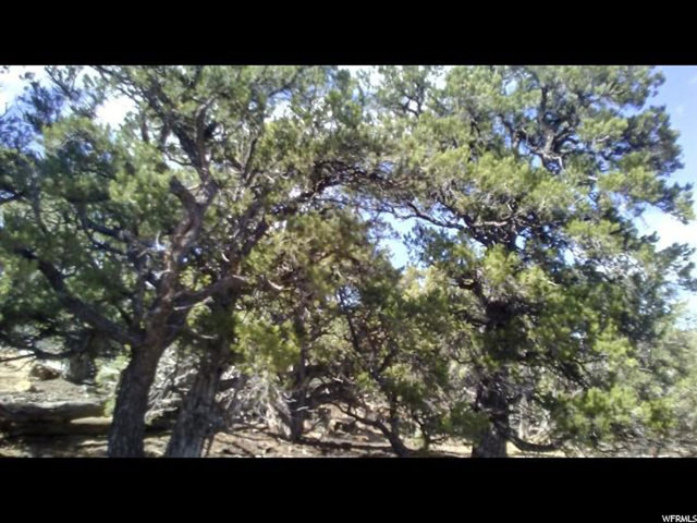 #44, Duchesne, UT 84021 — photo 8