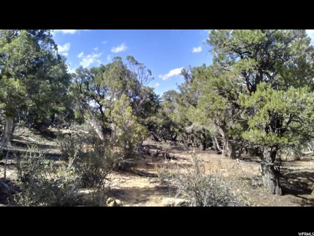 #44, Duchesne, UT 84021 — photo 3