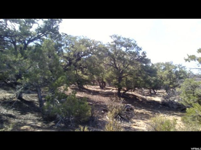 #44, Duchesne, UT 84021 — photo 5