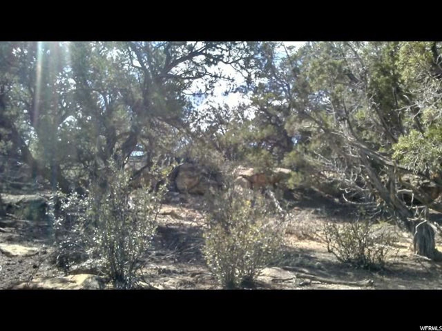 #44, Duchesne, UT 84021 — photo 4