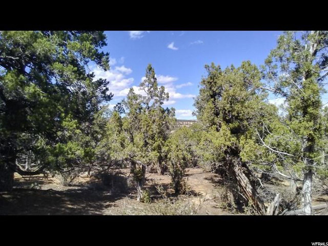 #44, Duchesne, UT 84021 — photo 7