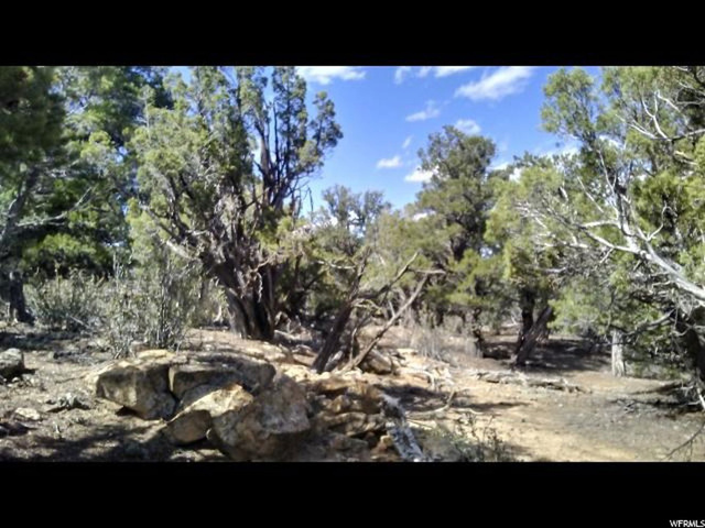 #44, Duchesne, UT 84021 — photo 2
