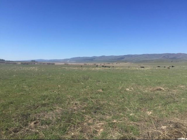 2000 N 2000 W, Mona, UT 84645 — photo 3
