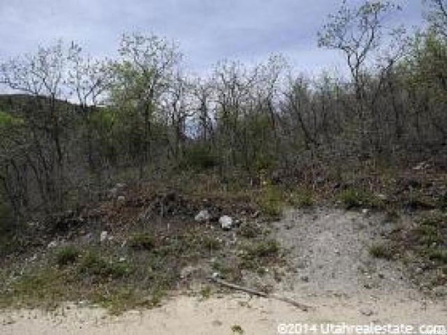 143 Willow Ln #143, Midway, UT 84049 — photo 9