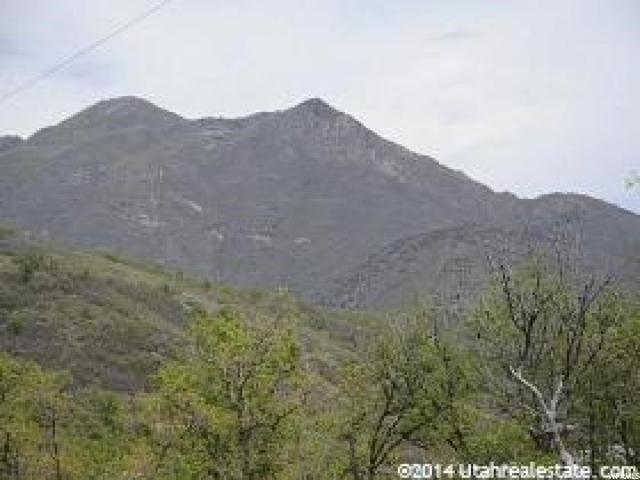 143 Willow Ln #143, Midway, UT 84049 — photo 3