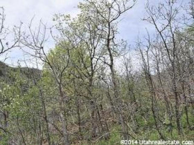143 Willow Ln #143, Midway, UT 84049 — photo 7