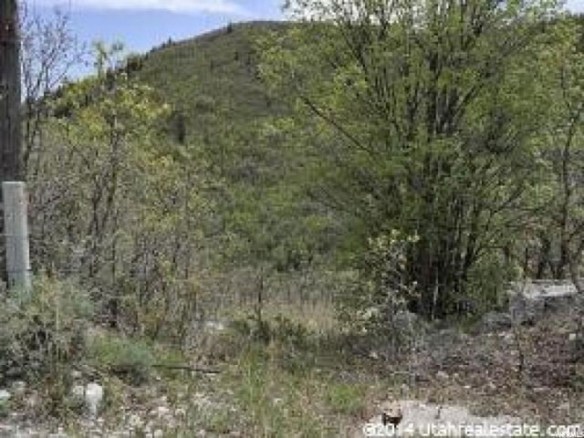 143 Willow Ln #143, Midway, UT 84049 — photo 5