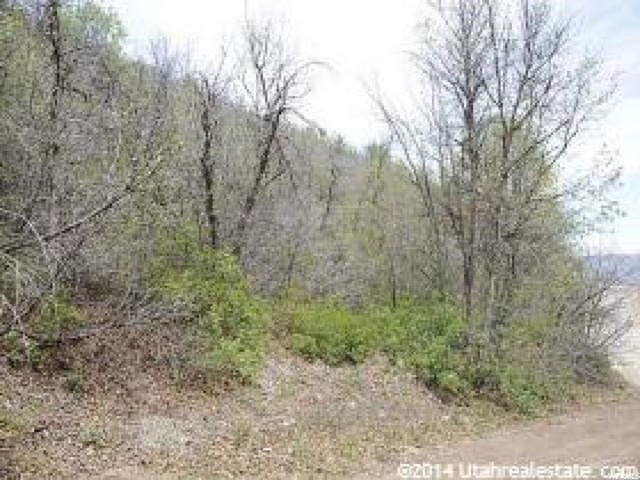 143 Willow Ln #143, Midway, UT 84049 — photo 11
