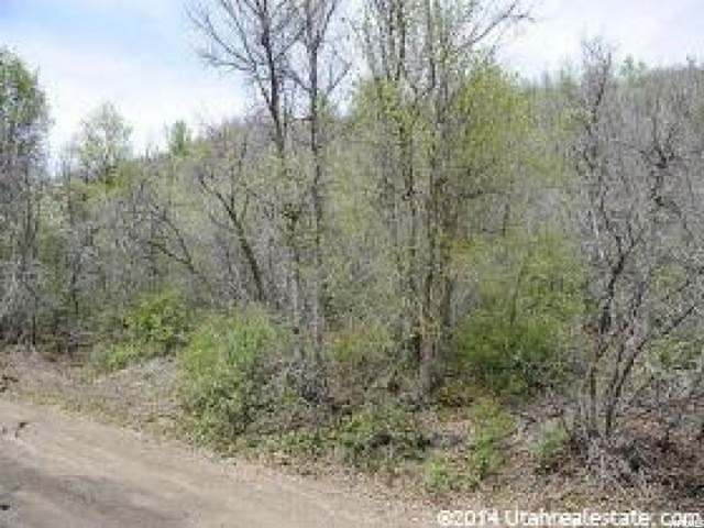 143 Willow Ln #143, Midway, UT 84049 — photo 10