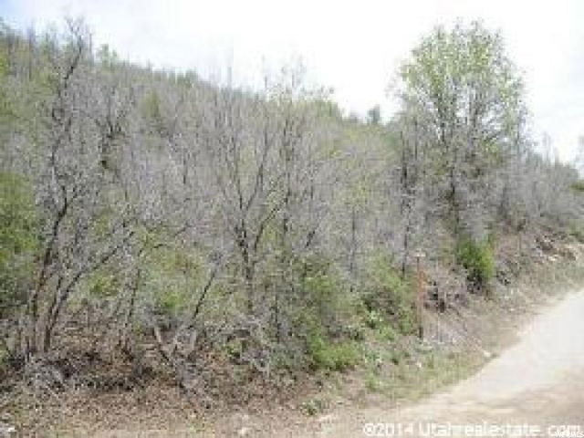 143 Willow Ln #143, Midway, UT 84049 — photo 12