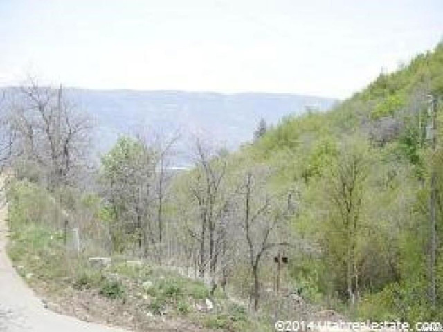 143 Willow Ln #143, Midway, UT 84049 — photo 8