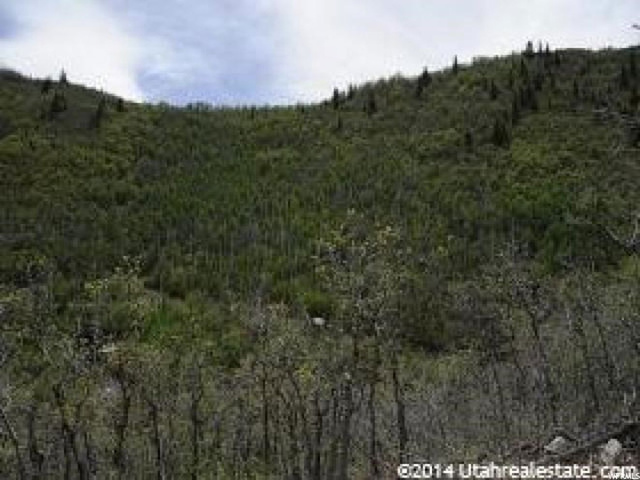 143 Willow Ln #143, Midway, UT 84049 — photo 6