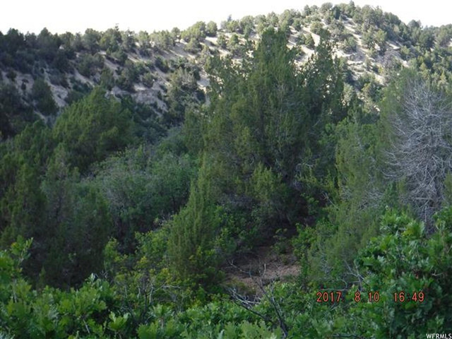 13085 E Juniper Dr #M-92, Fairview, UT 84629 — photo 4