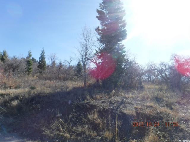13830 E Juniper Dr #M-48, Fairview, UT 84629 — photo 3